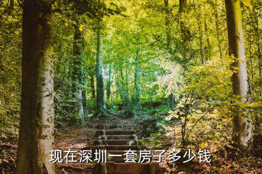 深圳如何看到真實房價，請教在哪個網站可以查詢到深圳二手房政府評估價的真實價格請