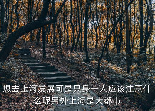 想去上海發(fā)展可是只身一人應(yīng)該注意什么呢另外上海是大都市