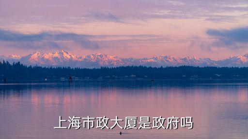 上海市政大廈介紹，上海大廈的地址