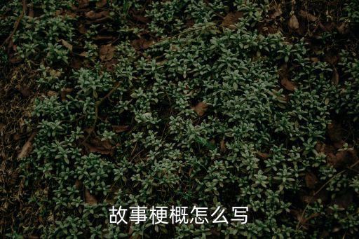 故事梗概,故事梗概怎么寫?