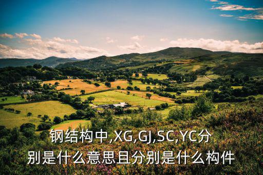 鋼結(jié)構(gòu)中,XG,GJ,SC,YC分別是什么意思且分別是什么構(gòu)件