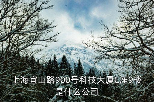 上海宜山路900號科技大廈C座9樓是什么公司