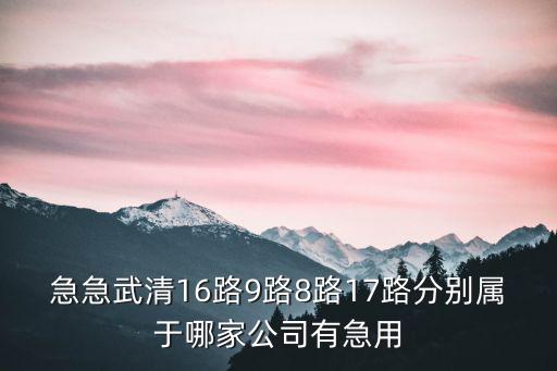 急急武清16路9路8路17路分別屬于哪家公司有急用