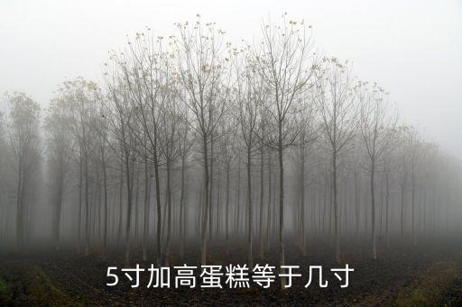 5寸加高蛋糕等于幾寸