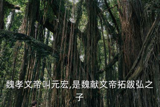 魏孝文帝叫元宏,是魏獻文帝拓跋弘之子