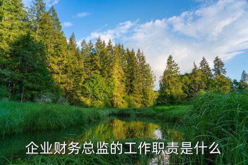 企業(yè)財務(wù)總監(jiān)的工作職責(zé)是什么