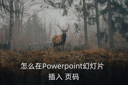 怎么在Powerpoint幻燈片 插入 頁碼