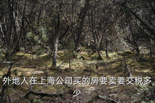 外地人在上海公司買的房要賣要交稅多少