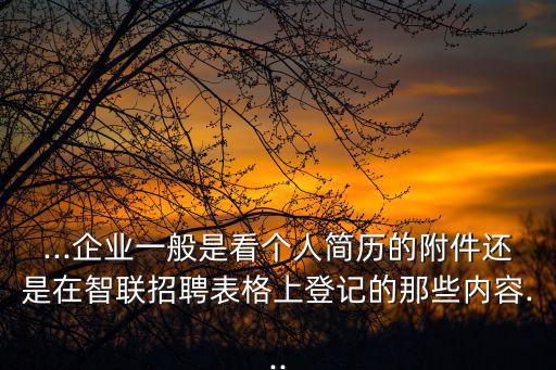 ...企業(yè)一般是看個人簡歷的附件還是在智聯(lián)招聘表格上登記的那些內(nèi)容...