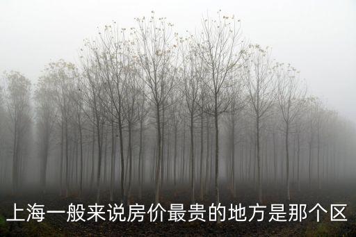 上海一般來說房價最貴的地方是那個區