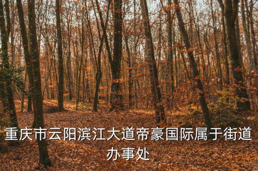 重慶市云陽濱江大道帝豪國際屬于街道辦事處