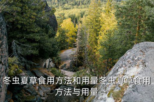 冬蟲夏草食用方法,冬蟲夏草的吃法與用量