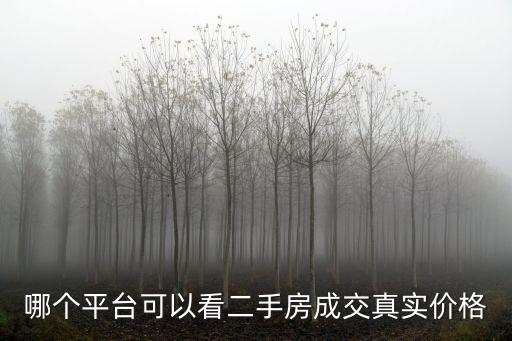 哪個平臺可以看二手房成交真實價格