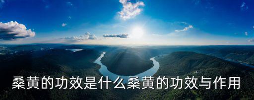 桑黃的功效與作用,秘制止血化瘀湯藥