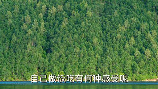做飯的感受,沒人評(píng)價(jià)好不好吃自己動(dòng)手解悶
