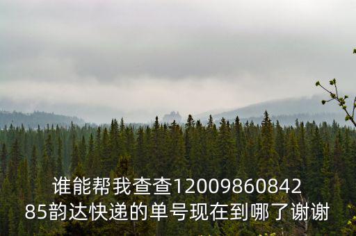 誰能幫我查查1200986084285韻達快遞的單號現在到哪了謝謝