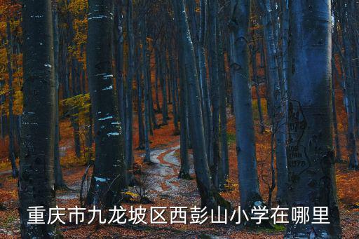 重慶市九龍坡區(qū)西彭山小學(xué)在哪里