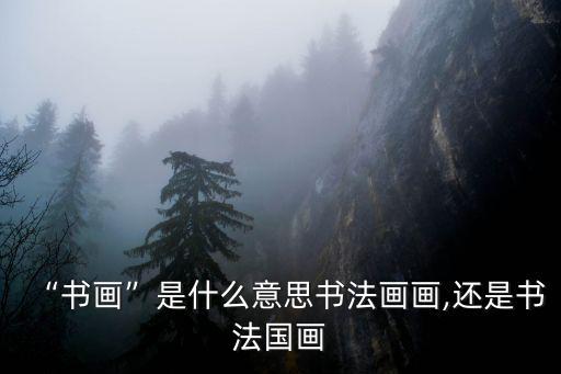 “書畫”是什么意思書法畫畫,還是書法國畫