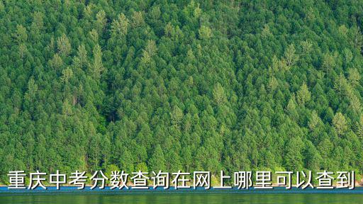 重慶中考分數查詢在網上哪里可以查到
