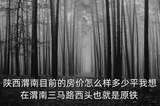 陜西渭南目前的房價怎么樣多少平我想在渭南三馬路西頭也就是原鐵