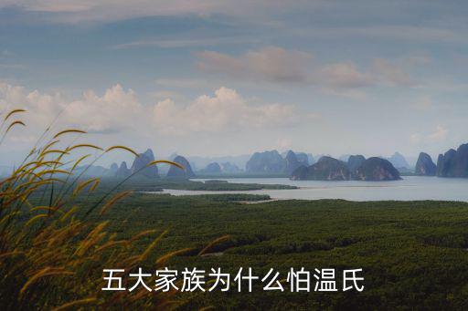 極亂家族1,五大家族為什么怕溫氏?