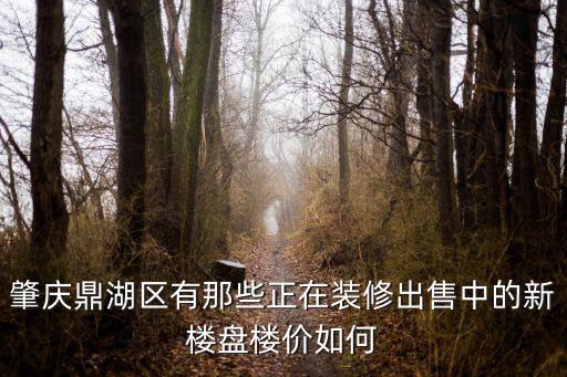 肇慶鼎湖區有那些正在裝修出售中的新樓盤樓價如何