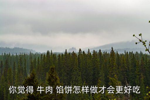 你覺得 牛肉 餡餅怎樣做才會更好吃