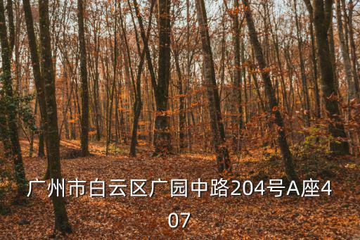 廣州市白云區(qū)廣園中路204號(hào)A座407
