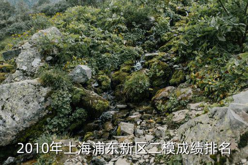 2010年上海浦東新區(qū)二模成績排名