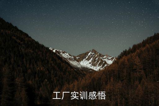 工廠實(shí)訓(xùn)感悟