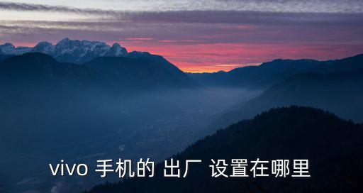 vivo 手機(jī)的 出廠 設(shè)置在哪里
