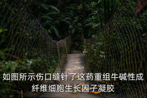 如圖所示傷口縫針了這藥重組牛堿性成纖維細胞生長因子凝膠
