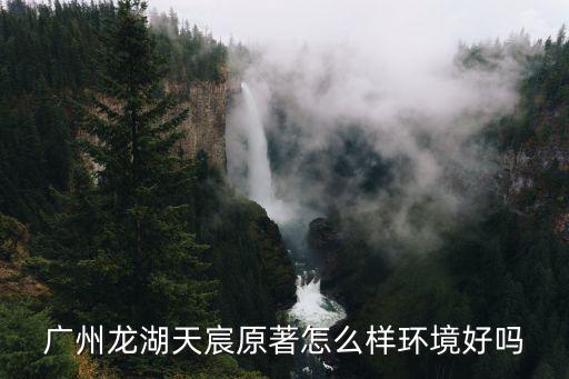 廣州龍湖天宸原著怎么樣環境好嗎