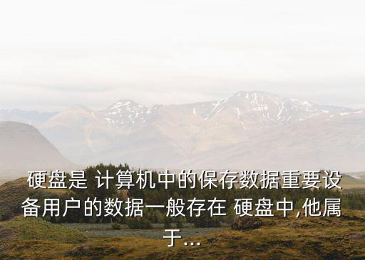 硬盤是計算機的,兩種計算機存儲技術概況及答案