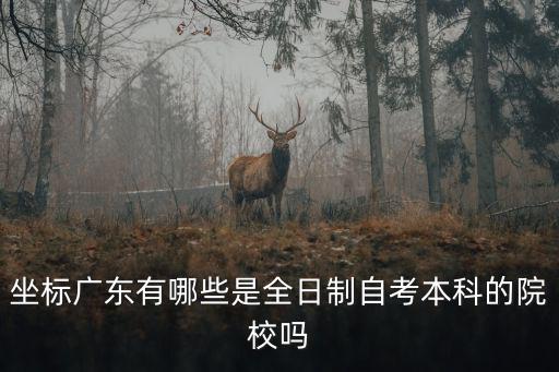 坐標廣東有哪些是全日制自考本科的院校嗎
