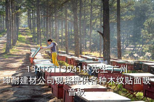 13416113941林先生 廣州坤耐建材公司現(xiàn)貨提供各種木紋貼面吸音板