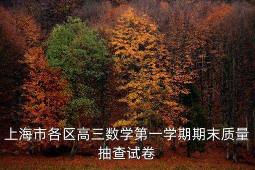 上海市各區高三數學第一學期期末質量抽查試卷