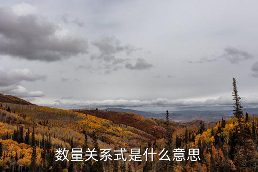 數(shù)量關(guān)系式是什么意思