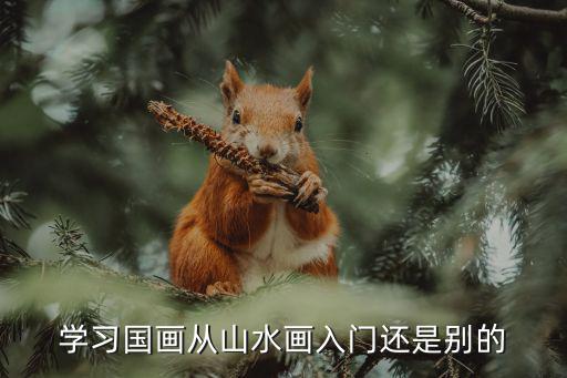 學習國畫從山水畫入門還是別的