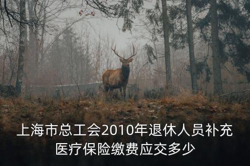 上海市總工會2010年退休人員補充醫療保險繳費應交多少