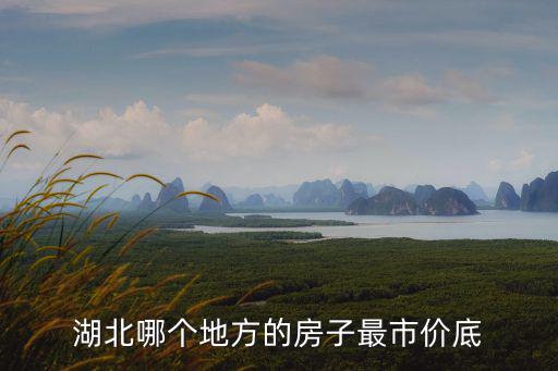 湖北哪個地方的房子最市價底