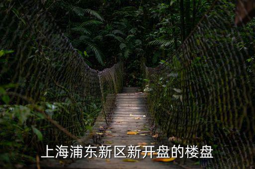 上海浦東新區新開盤的樓盤