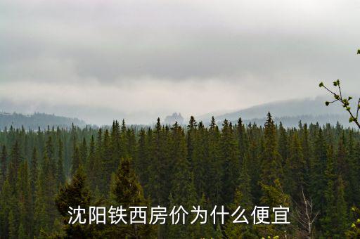 沈陽鐵西房價為什么便宜