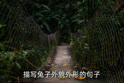 小兔子的外形,小白兔膽子真小!