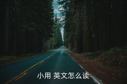 小用 英文怎么讀