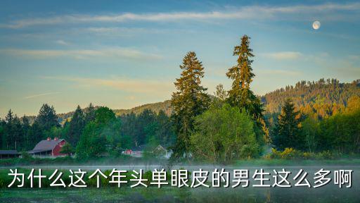為什么這個年頭單眼皮的男生這么多啊