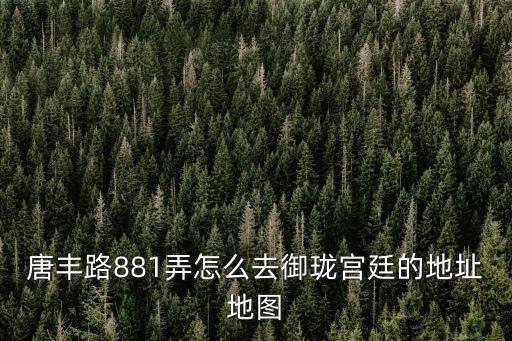 唐豐路881弄怎么去御瓏宮廷的地址地圖