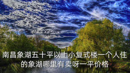 南昌象湖五十平以上小復(fù)式樓一個人住的象湖哪里有賣呀一平價格