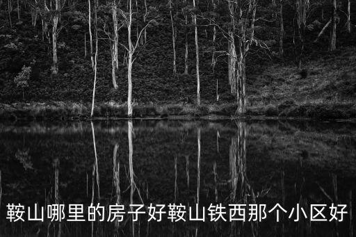 鞍山哪里的房子好鞍山鐵西那個小區好