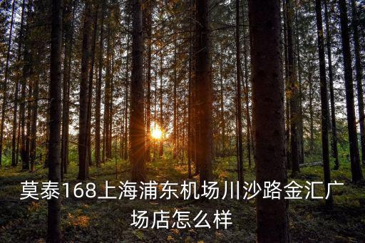 上海市浦東新區(qū)匯親園養(yǎng)老院 交通，莫泰168上海浦東機場川沙路金匯廣場店怎么樣